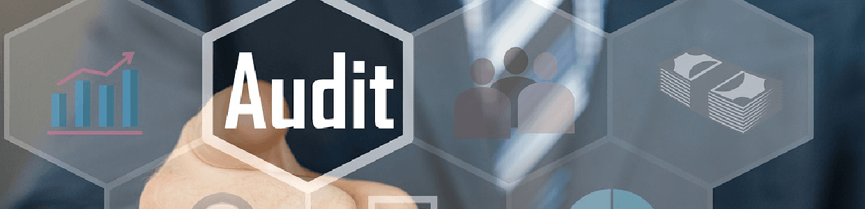  Audit & Assurance Overview